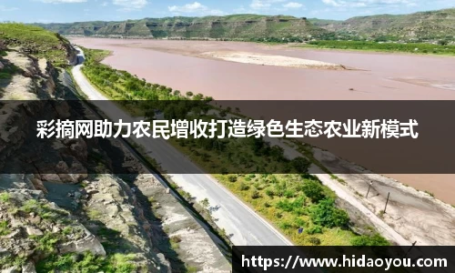 彩神v大发
