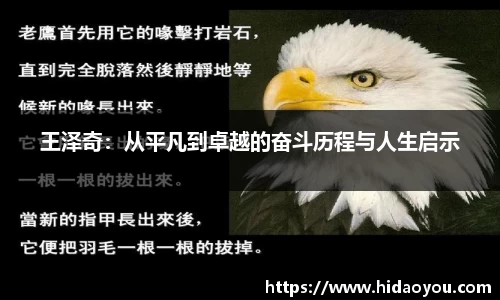 王泽奇：从平凡到卓越的奋斗历程与人生启示